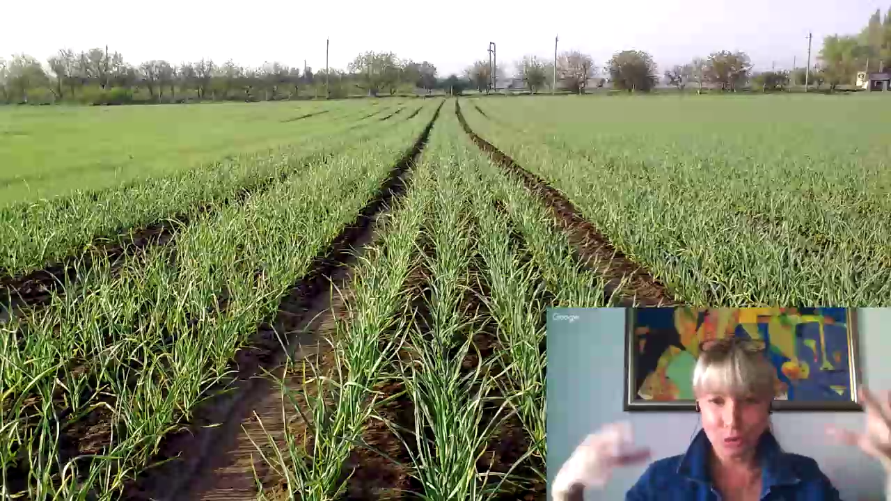 Лечение атеросклероза народными средствами, профилактика РАКа легких, импотенции, сахарного диабета