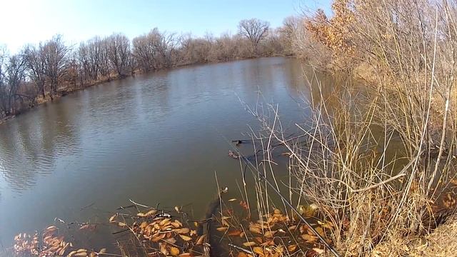 Серебряный Ручей EXTREME LINE NEW EL732 XUL смотреть онлайн