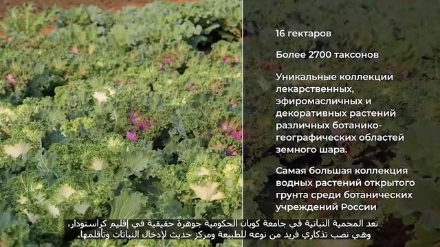 Вниманию видеоролик про Кубанский государственный университет. смотреть онлайн