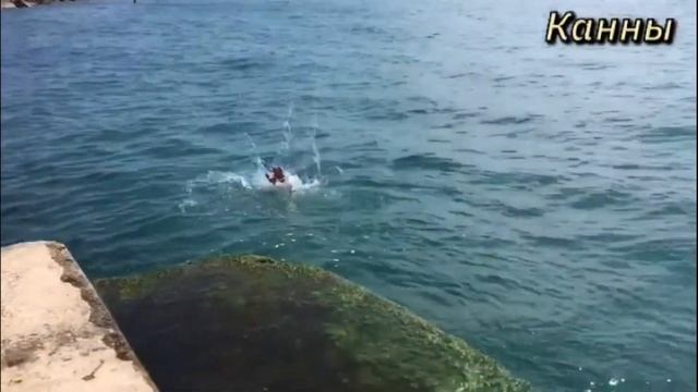 Европа #канны #испания #италия #франция #монако #монтекарло #ницца #санремо #барселона смотреть онлайн