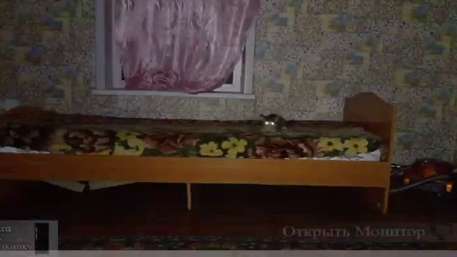 1 ночь пять ночей у ёжика смотреть онлайн