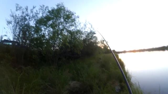 Рыбалка. Просто бешеный клев карася в июне 2019г. смотреть онлайн