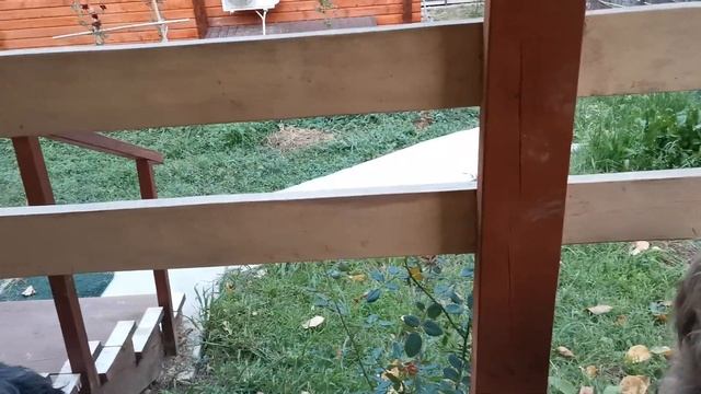 Сочи. Горное Лоо. Вечер. +18°C. 3. 10.2023г.© смотреть онлайн