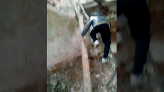 Краснуха смотреть онлайн