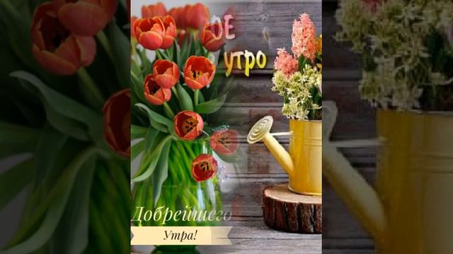 17 марта 2021 г. смотреть онлайн