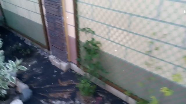 Декоративные столбики для забора из шифера своим руками без лишних затрат смотреть онлайн