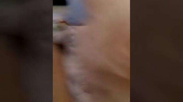 Как рисовать мишку по клеткам,?✌ смотреть онлайн