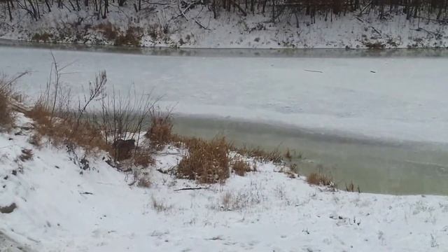 Сальто на санках.Ой... Ой... Ой-йой...!!! смотреть онлайн