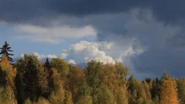 Осенний вернисаж смотреть онлайн