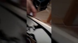 Наклеивание камуса на охотничьи лыжи