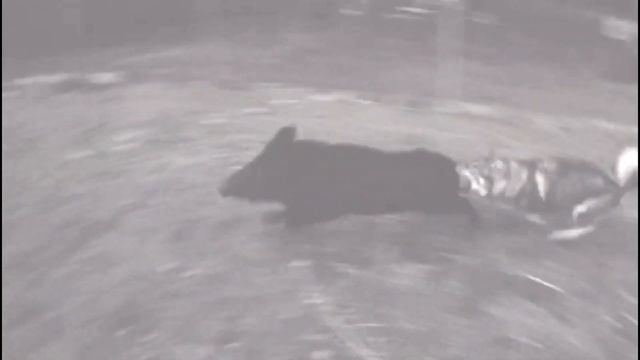 ВОЛЭНД в Испании смотреть онлайн