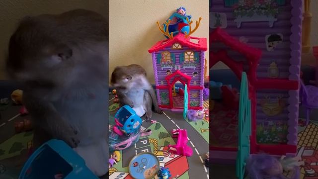 Обезьянка Чита добралась до детской комнаты смотреть онлайн