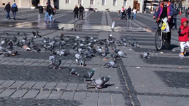 How to Spend 2 days in Sibiu, Romania! And, traditional Romanian Food! смотреть онлайн