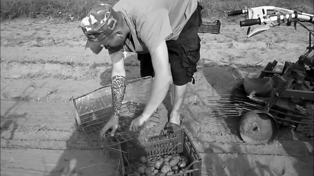 Контейнер для картофелекопалки мотоблочной. Самодельная картофелекопалка смотреть онлайн