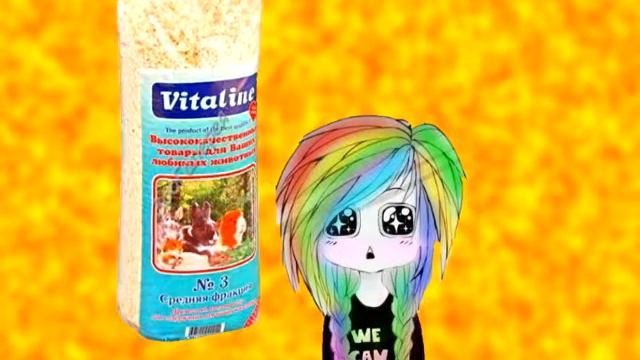 Что нужно для того, чтобы завести хомяка:) / Ника Долька смотреть онлайн