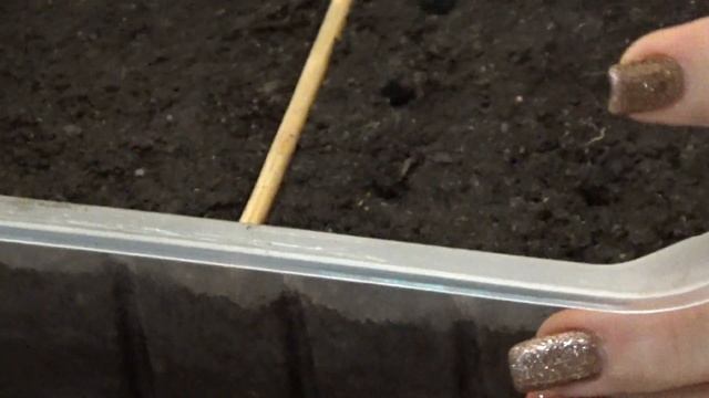 ЭУСТОМА. Попробуем ВОТ ТАК. смотреть онлайн