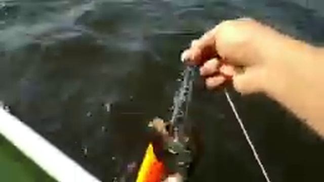 Рыбалка на реке сож. Жёсткий клёв .... смотреть онлайн