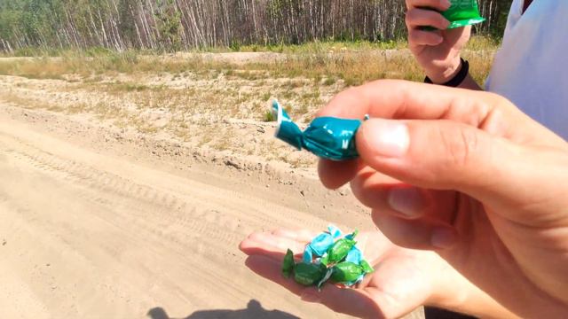 РЕКА ПРА. Поход с палаткой. Дивная Природа МЕЩЕРСКОГО КРАЯ | ЧАСТЬ 1 смотреть онлайн