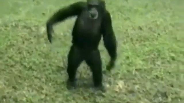 Подари мне платок!) смотреть онлайн