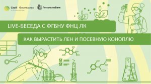 Как вырастить лен и посевную коноплю?