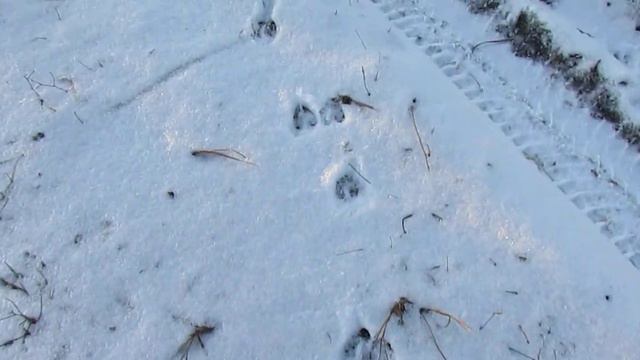 СЛЕДЫ смотреть онлайн