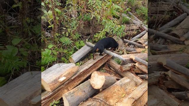 10 декабря 2021 г. смотреть онлайн