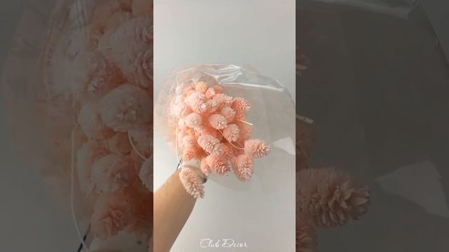 Фаларис смотреть онлайн