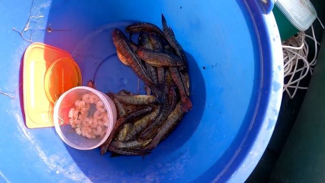 Ловля бычка с лодки на Тилигульском лимане 14 сентября смотреть онлайн