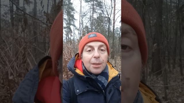 22 декабря Анна Зимняя смотреть онлайн