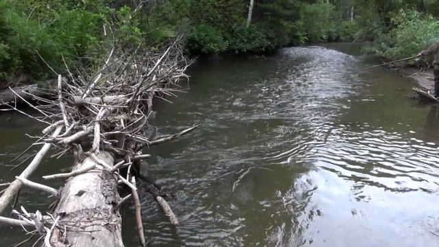 Рыбачьте с нами, рыбачьте лучше нас. смотреть онлайн