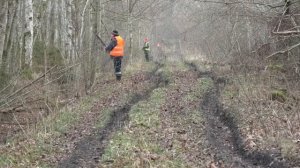 Облавная (загонная) охота.  Охотминимум. Обучающий материал.