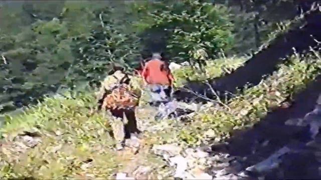ГРУЗИЯ. лето 2000 года. ЧАСТЬ 3. ДОРОГА К ВОДОПАДАМ. УЩЕЛЬЕ ЛОПОТА. смотреть онлайн