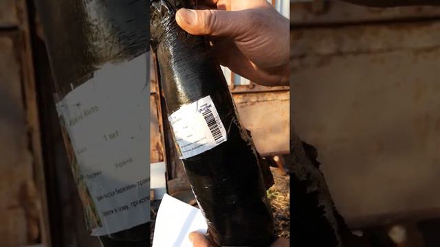Интерфлора.Обзор. смотреть онлайн