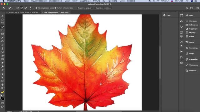 Фотошоп волшебная палочка как пользоваться | Быстрое выделение | Photoshop для начинающих | Урок 8 смотреть онлайн
