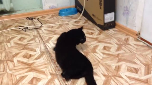 Сниться кошмар сему)) смотреть онлайн