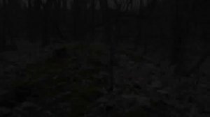 ALHSB кладоискательство [ КОП МОНЕТ ] - часть 2