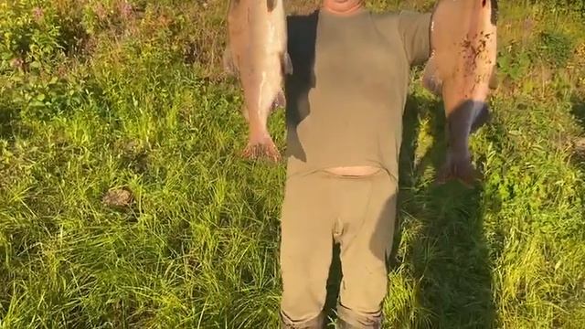 Куда лучше поехать на рыбалку за горбушей в 2023 году смотреть онлайн