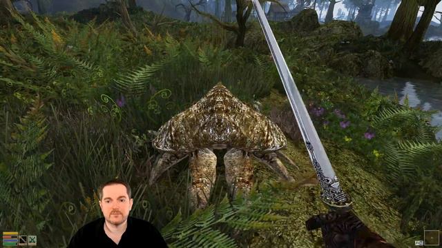 THE ELDER SCROLLS III : MORROWIND vengeons Vitellius ! LET'S PLAY FR #7 смотреть онлайн