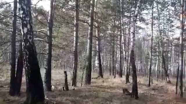 23 октября. Икона Божией Матери Акафистная Зографская (Предвозвестительница) смотреть онлайн