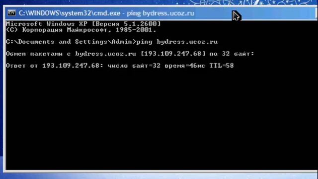 Как узнать IP-адрес сайта смотреть онлайн
