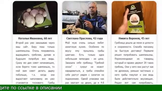 Грибница Для Выращивания Грибов Купить смотреть онлайн