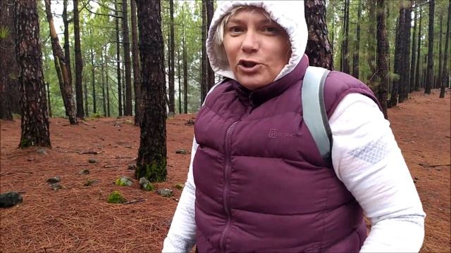 Грибы на Тенерифе? Очень даже! И даже в декабре! смотреть онлайн