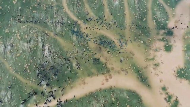 Марш Кавказо-албанских народов смотреть онлайн