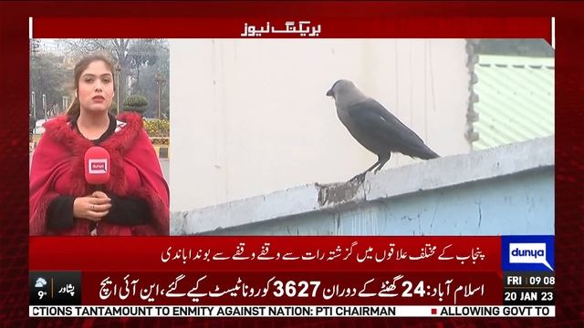 Weather Updates in Lahore | Rain Prediction by Met Office | Pakistan Weather Today смотреть онлайн