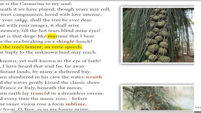 12th English | Unit 2 - Our Casuarina Tree - Toru Dutt | Poem | Unit 2 смотреть онлайн