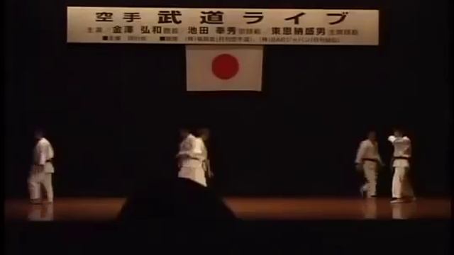 ката+бункай.mp4 смотреть онлайн