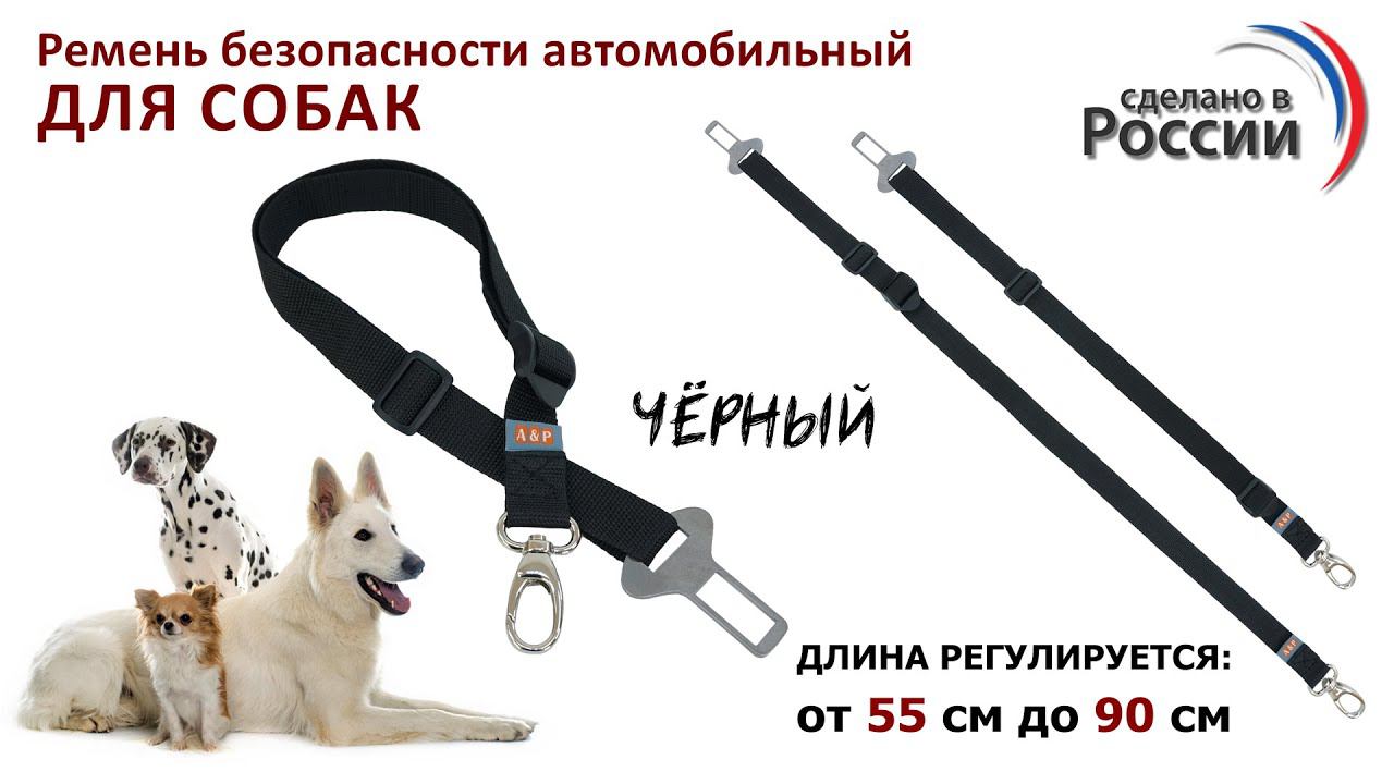 Ремень безопасности для собак в автомобиль, цвет черный. Промо-ролик.