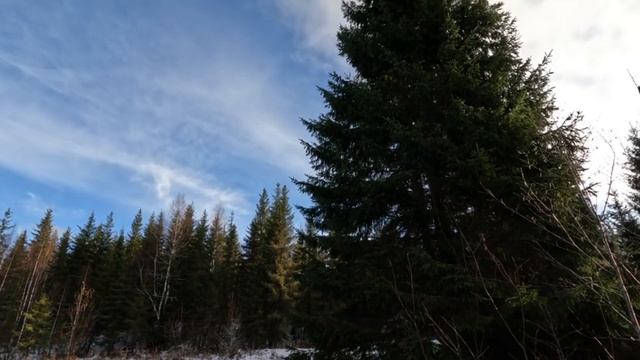 Выбрел на таëжную речку. смотреть онлайн