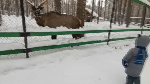 День Рождения Деда Мороза)) семейный уикэнд) смотреть онлайн