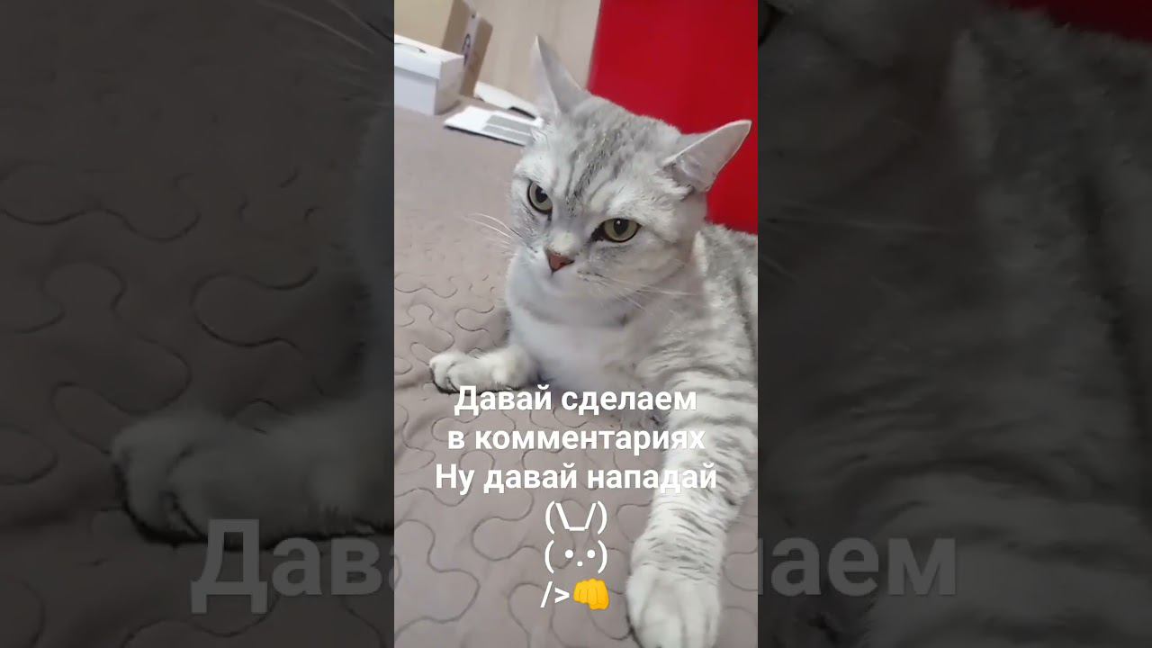 ну давай нападай #shorts #foryou #trend #video #tiktok #minecraft смотреть онлайн